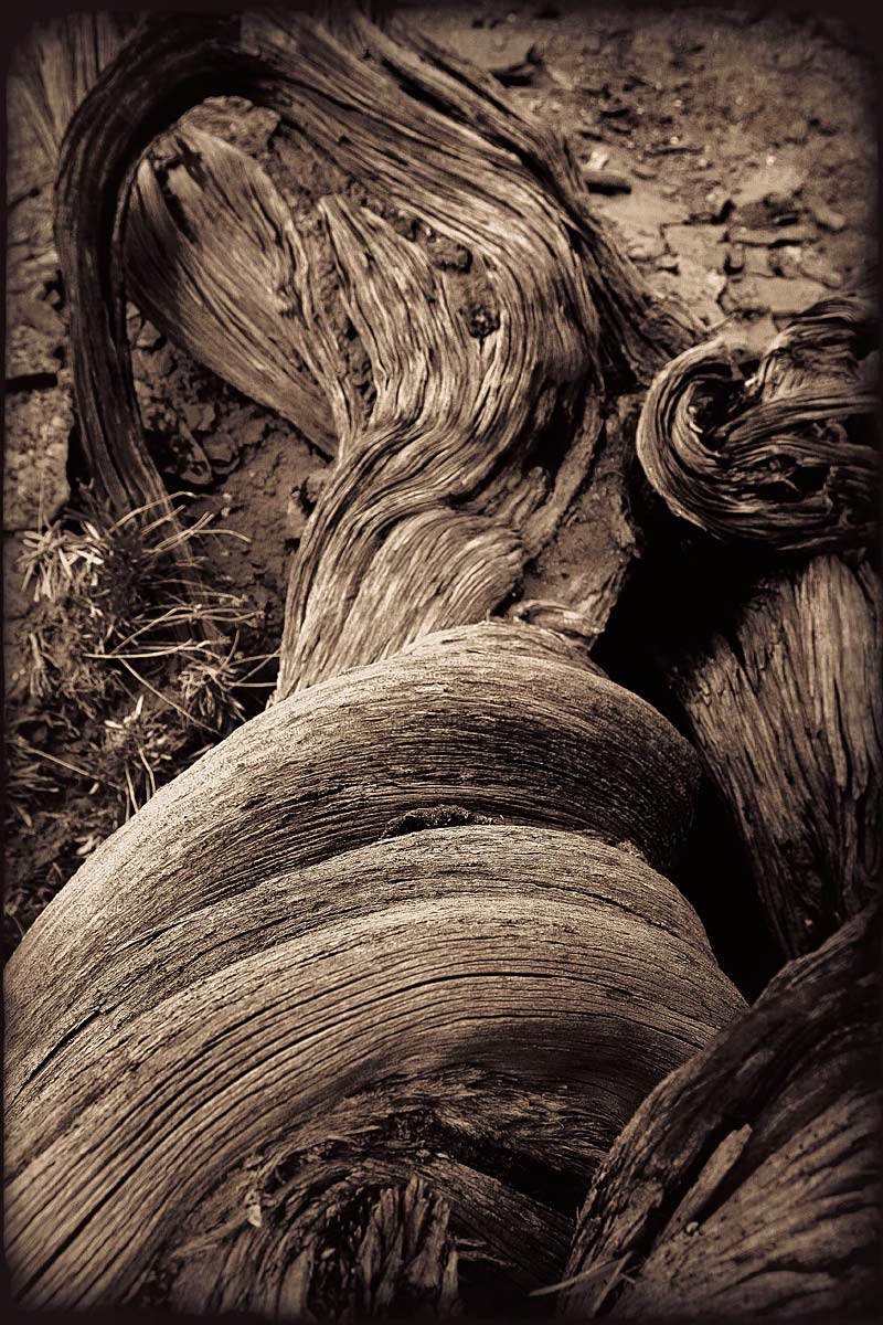 Rubrikfoto - Detail/Zoom - Ulrike Kersten