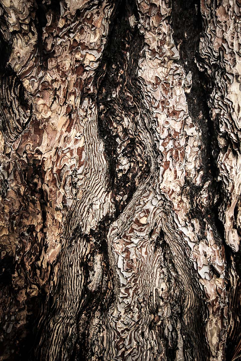 Rubrikfoto - Detail/Zoom - Ulrike Kersten